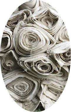 Image representing Sustainability